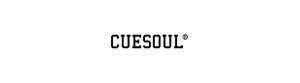 Cuesoul Plastic tip